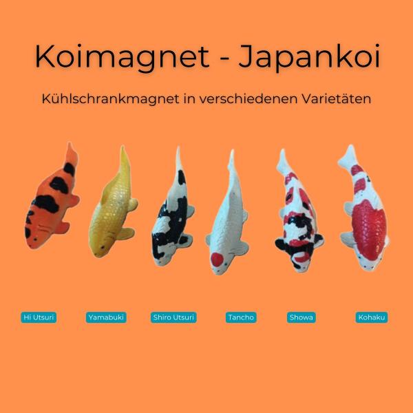 Koimagnet-Japankoi